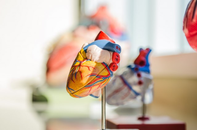 Kardiohirurzi na tragu velikog otkriæa: Inovativno rešenje kao zamena za srèanu komoru